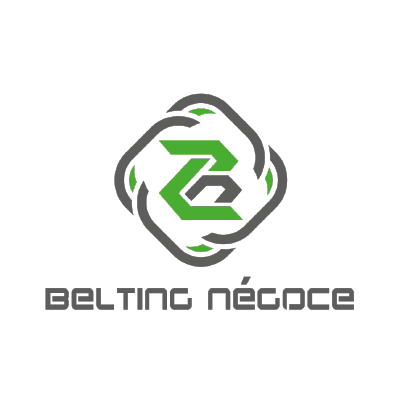 Clients PROXISOFT : Logo BELTING NEGOCE